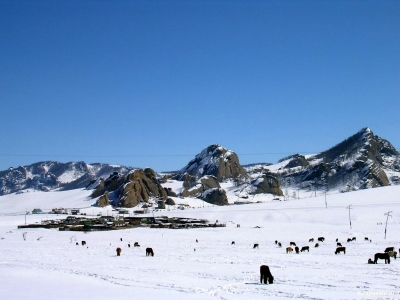 Mongolië - Terelj national park