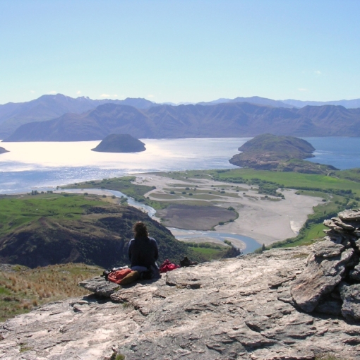 Van meren, mugje's, pinguins en ijs