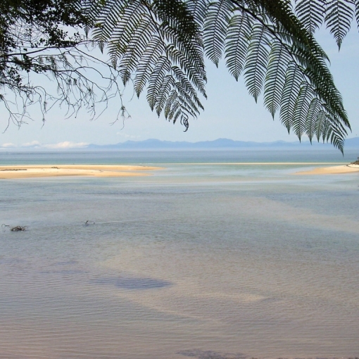In Abel Tasman NP.