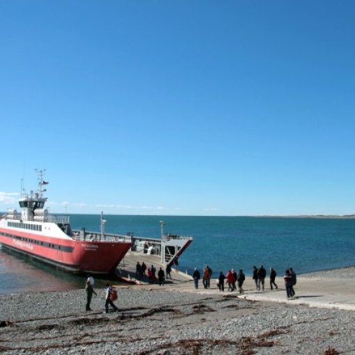 Van Ushuaia naar Punta (pinquin) Arenas