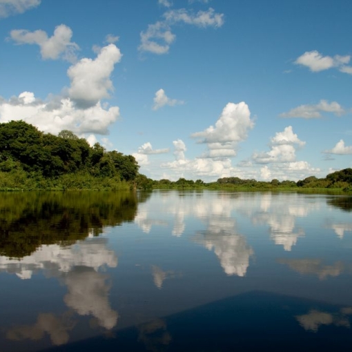Pantanal