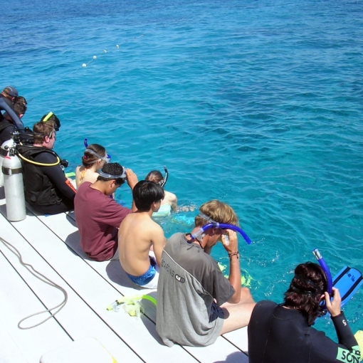 Van Townsville naar Seaforth