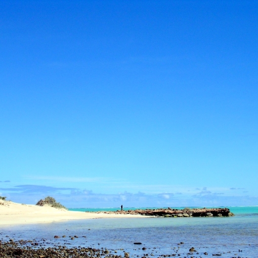 Op naar het noorden!