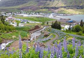 Dag 25 - 26 | Seydisfjordur