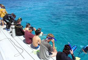 Van Townsville naar Seaforth