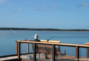 Laatste week Victoria