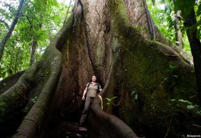 Vulcan Arenal – La Fortuna