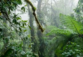In de wolken in Santa Elena