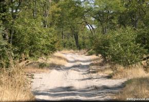 Moremi Nationaal Park