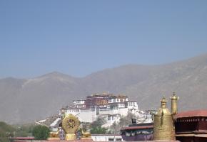 Weekje Lhasa
