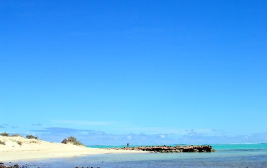 Op naar het noorden!