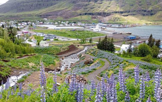 Dag 25 - 26 | Seydisfjordur