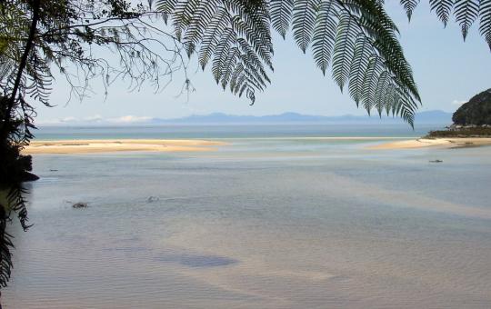 In Abel Tasman NP.