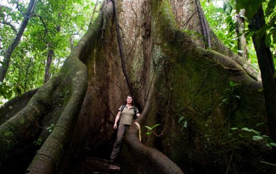 Vulcan Arenal – La Fortuna