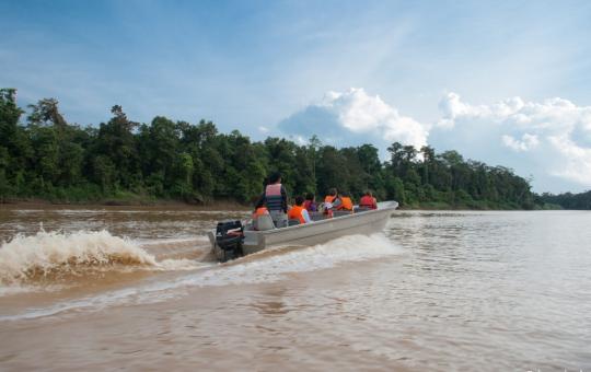 It's a jungle out there!