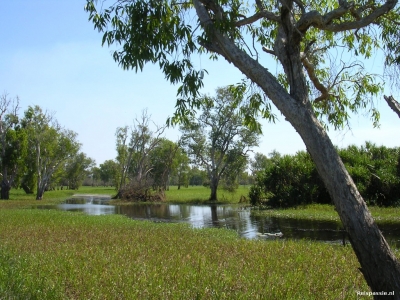 nt kakadu fraaie wetlands 20161225 1967133864