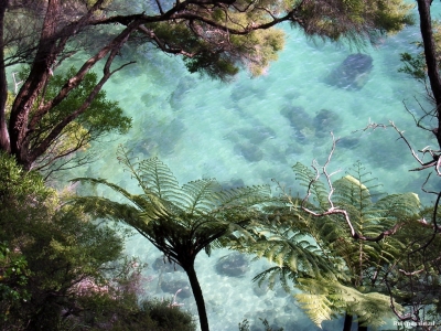 abel tasman np doorkijkje naar zee 20170425 1342154884