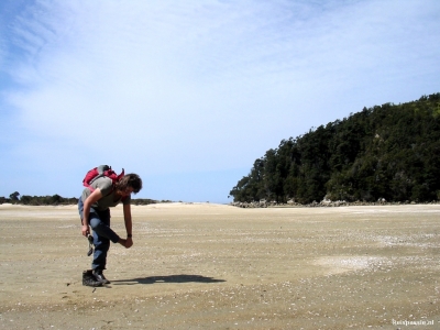 abel tasman np over de moddervlakte 20170425 1594947552