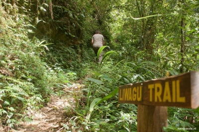 mt kinabalu national park 20151005 1577589499