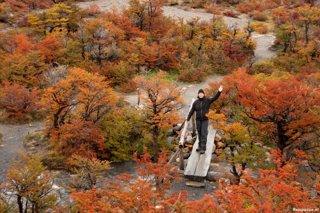 Regenachtig El Chalten