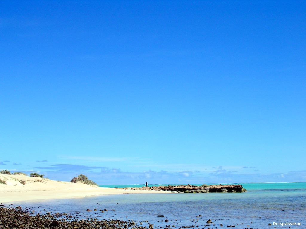 Op naar het noorden!