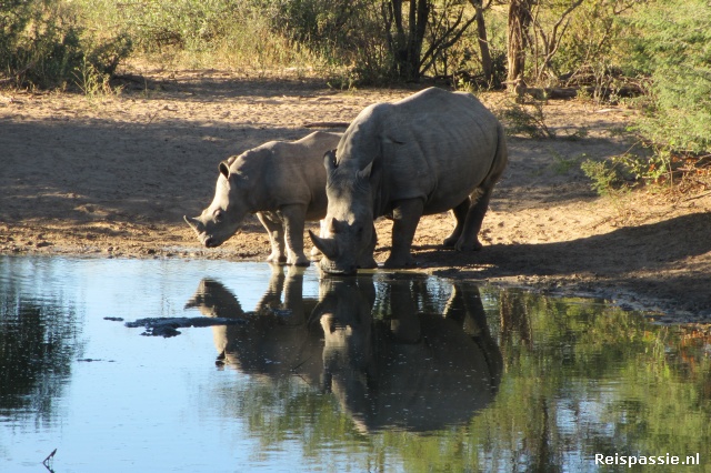 Khama Rhino Sanctuary