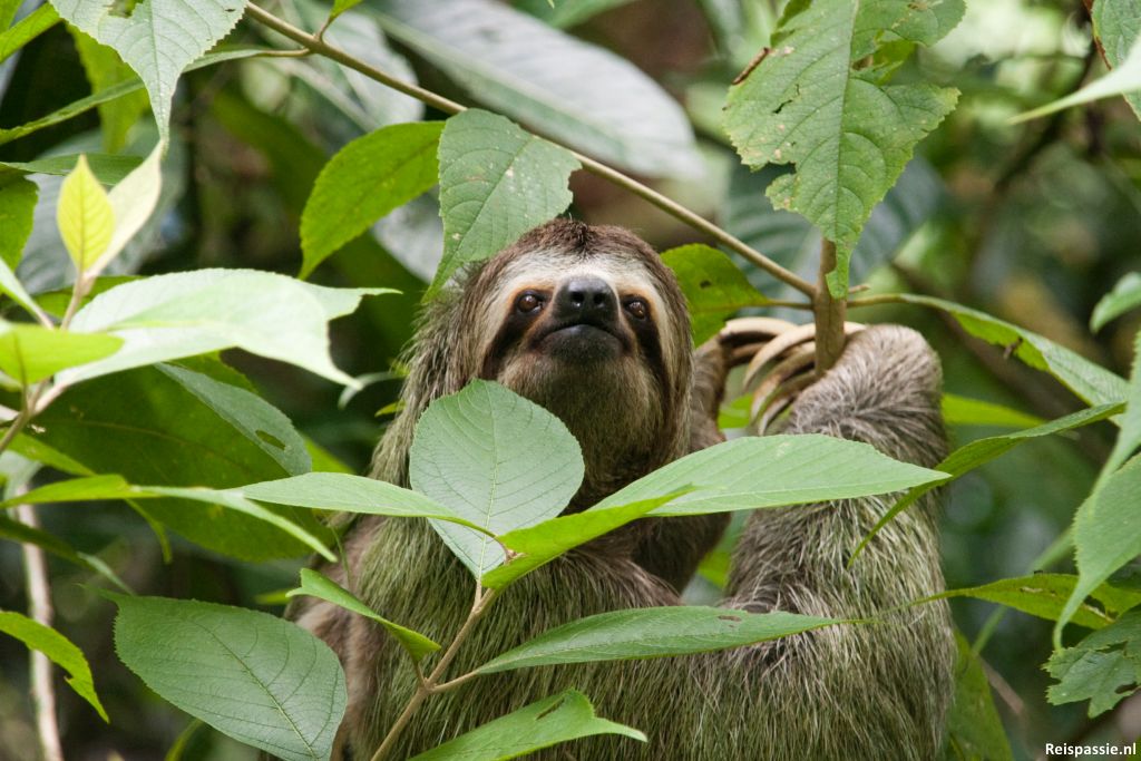 Quepos / Manuel Antonio