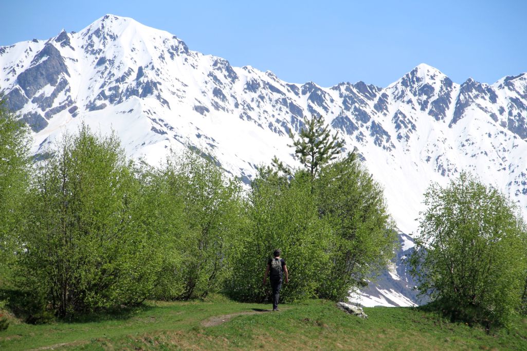 mestia door de berkenbossen 20190604 1097957061