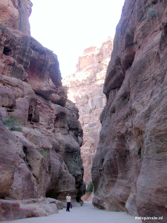 petra door de siq naar het moois 20180323 1047346425