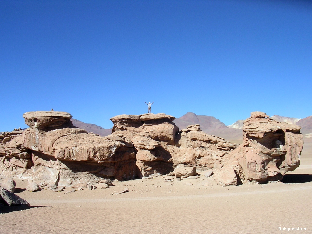 san pedro to uyuni arbol de piedra 20180225 1020114515