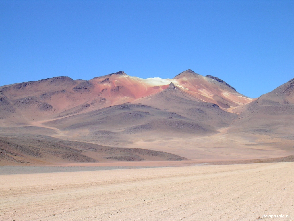 Salvador Dali desert