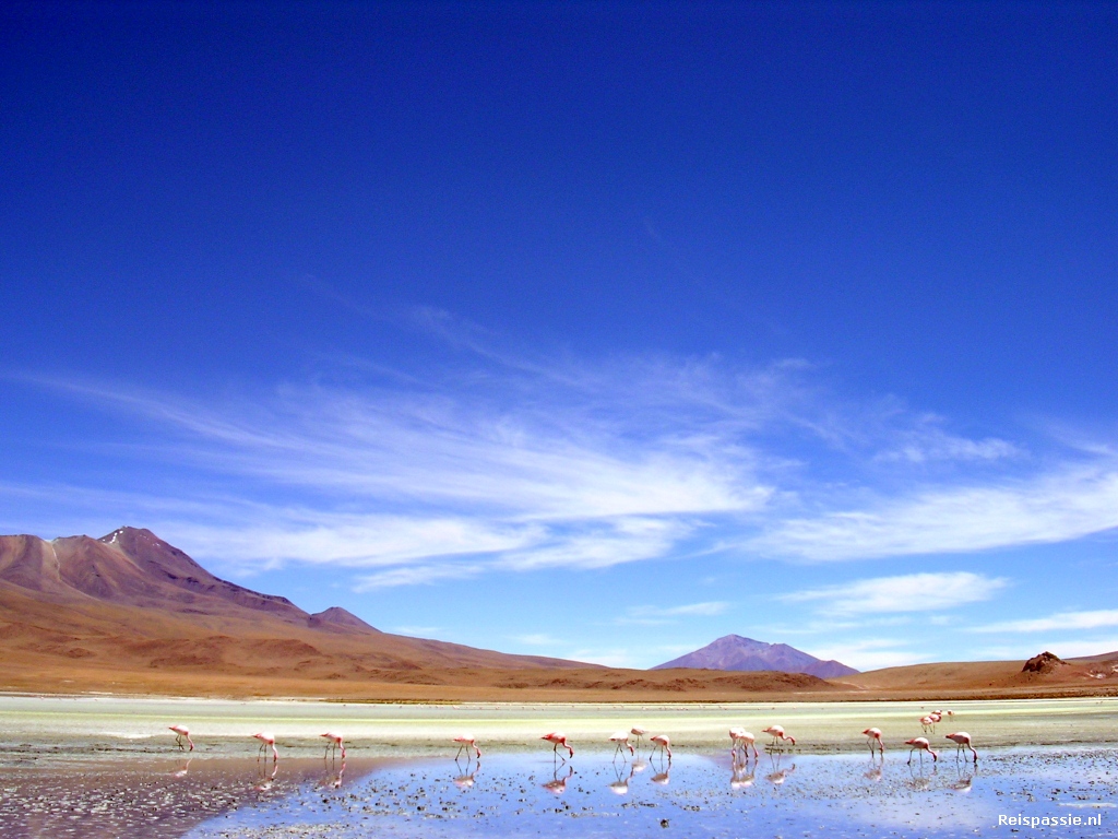 san pedro to uyuni lagauna hedionda 20180225 1134336133