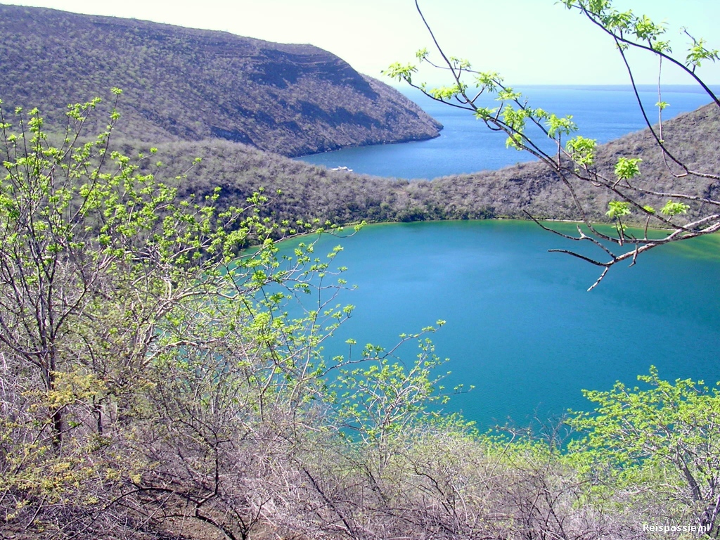 galapagos rabida island zoutmeer 20180317 1396130709