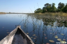 Onkovango Delta - Varen in de Mokoro
