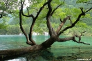 Jiuzhaigou