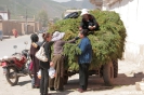 Xiahe - Labrang klooster