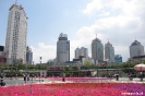 Xining - bloemetjes