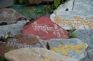 Dharamsala, manistenen langs de Kora.