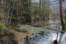 Kamikochi - Heldere watertjes