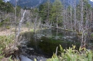 Kamikochi - Poeltjes onderweg