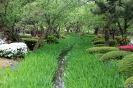 Kanazawa - Kenroku-en Garden