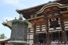 Nara - Todaiji, Daibutsu hal