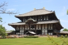 Nara - Todaiji, Daibutsu hal