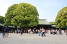 Tokyo -  Meiji-Jingu tempel