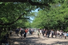 Tokyo - Ueno park