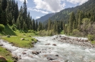 Karakol - Karakol valley