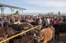 Karakol - Veemarkt