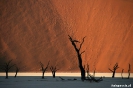 Sossusvlei - Deadvlei