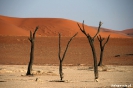 Sossusvlei - Deadvlei