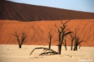 Sossusvlei - Deadvlei